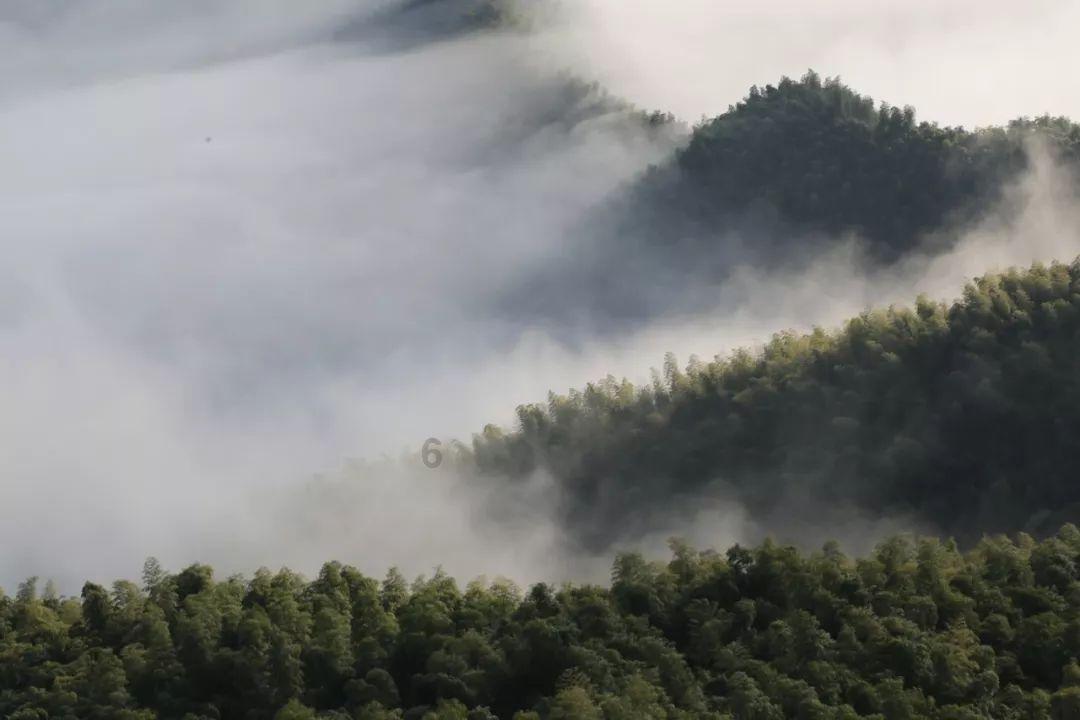 临川王朱盘熚：父子相争，朝廷得利，这郡王爵位我朱祁镇就笑纳了